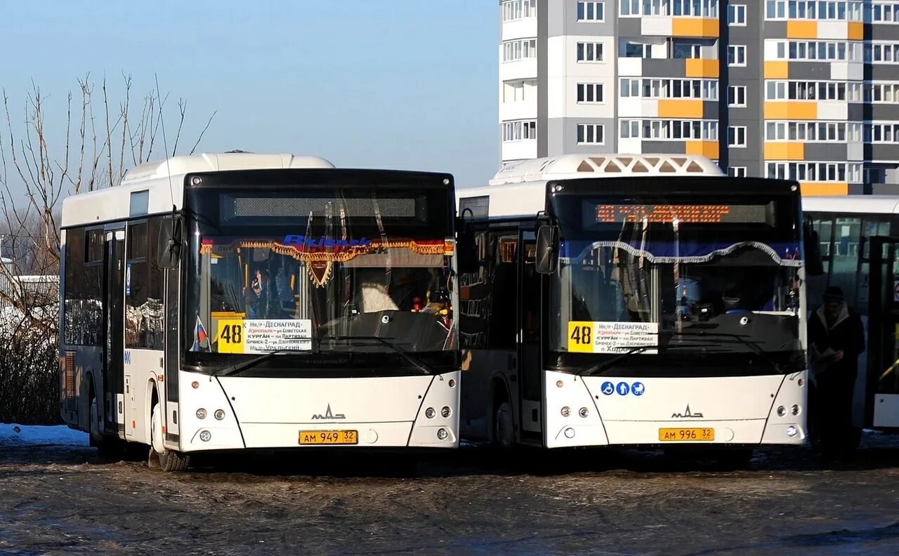 24 автобус брянск. Маз 206 2025. брянский автобус. автобусный парк брянск бежица. автобус 48 брянск.