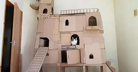 Дом для кота из картона