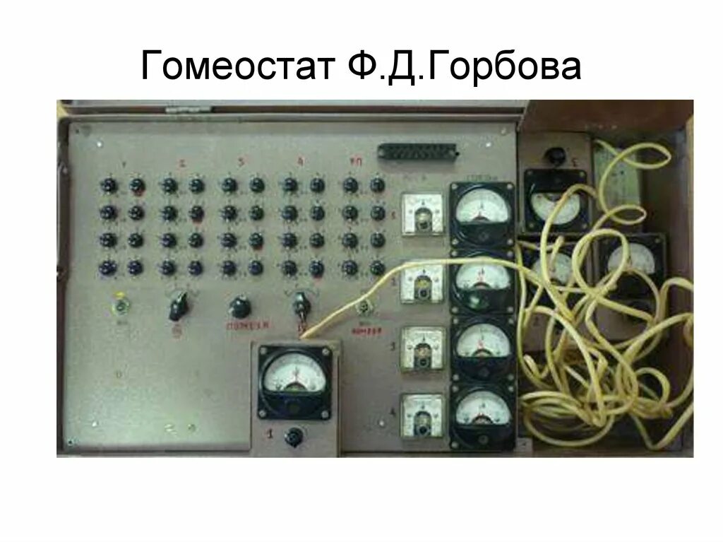 Ф д горбов. Гомеостат эшби. гомеостат горбова. гомеостат - это прибор. гомеостат это в психологии.