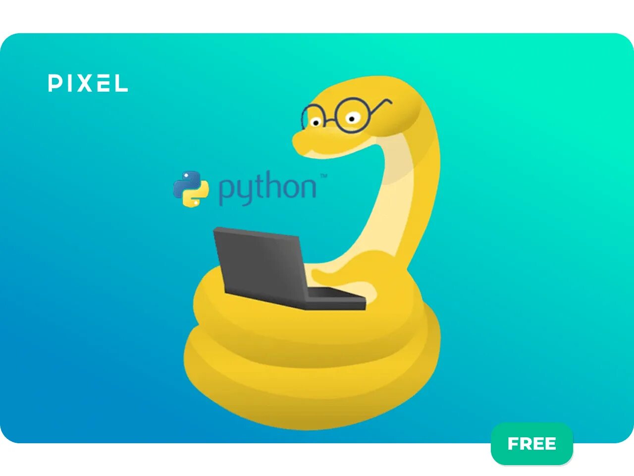 Программирование в ограничениях python. Язык программирования python. питон программирование. программирование питон змея. пайтон язык программирования.