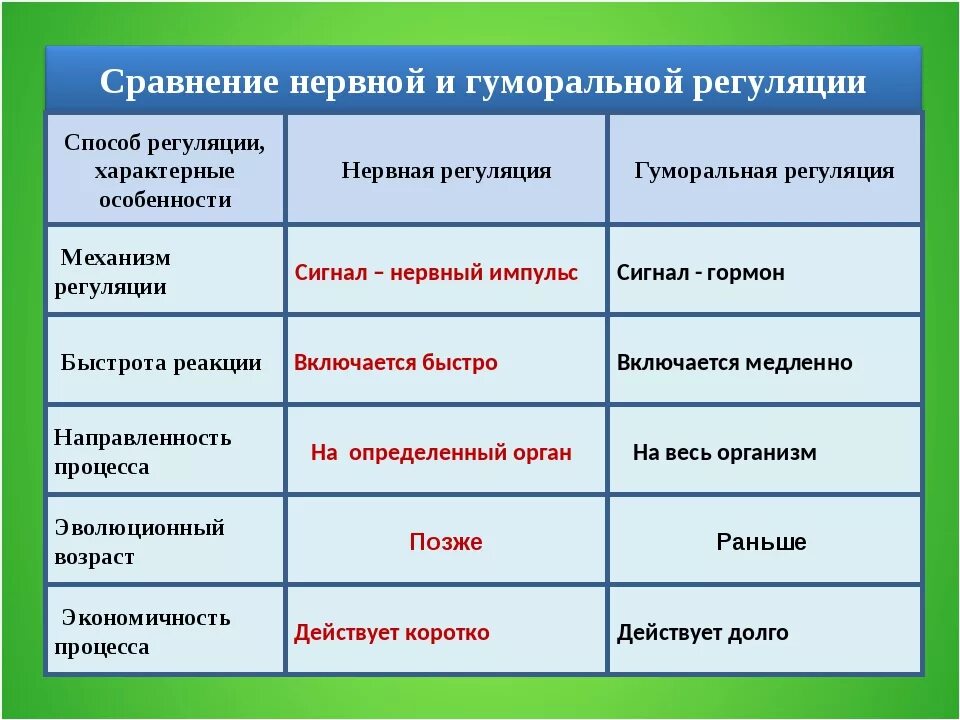 Система примеры органов функции Органы чувств человека их функции