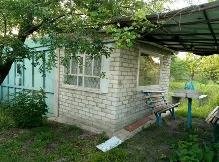Авито дубовое