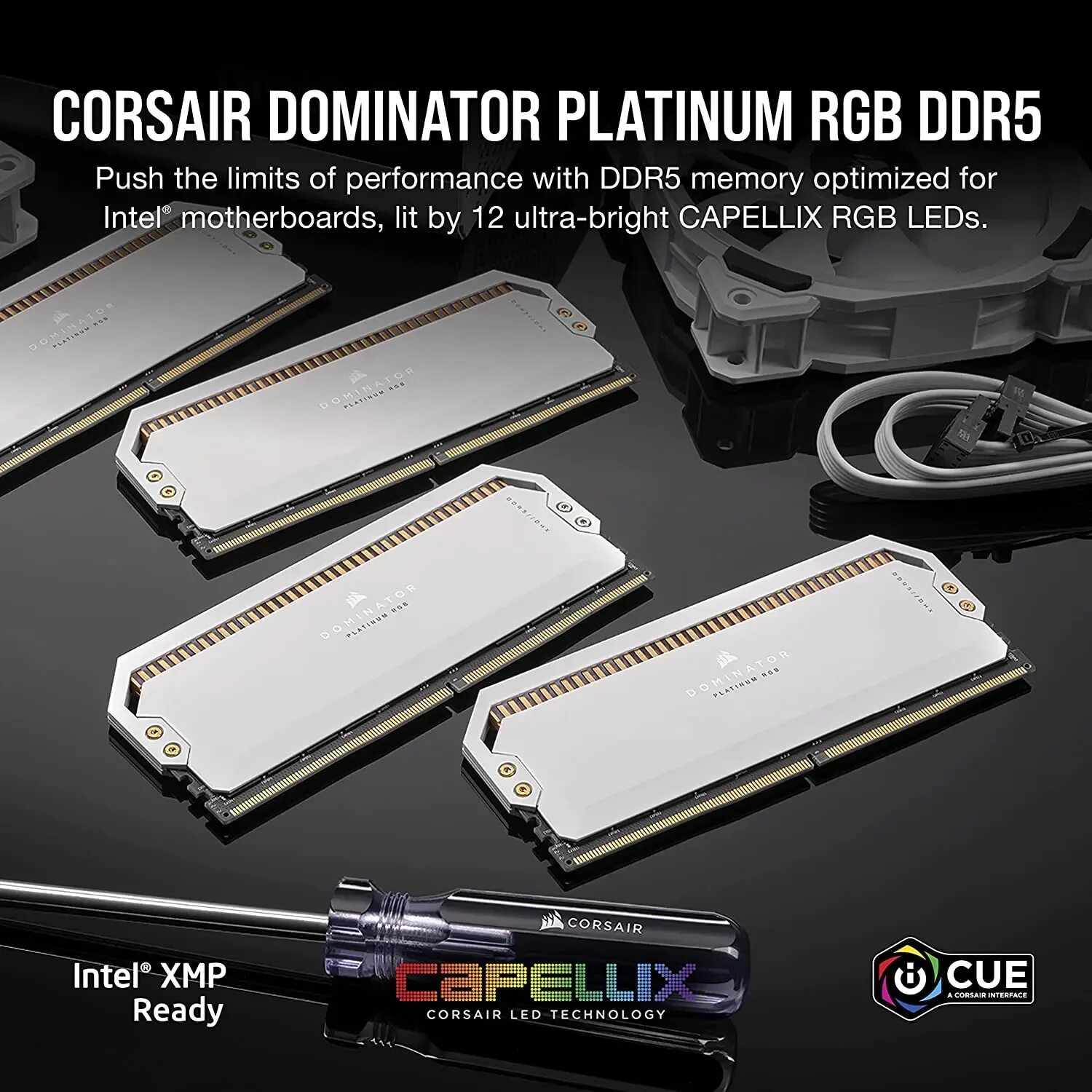 Corsair Dominator Platinum RGB ddr5. Corsair Dominator ddr5. 32gb Corsair Dominator Platinum RGB [ddr5 5600mhz, 2x16gb]. Dominator Platinum RGB 64 ГБ. Corsair dominator platinum ddr5