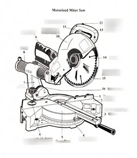See part