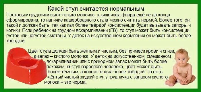 Как часто должен какать человек
