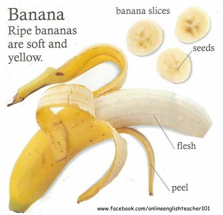 Как будет по английски банан. Части банана. Название частей банана. Анатомия банана. Банан верхняя часть.