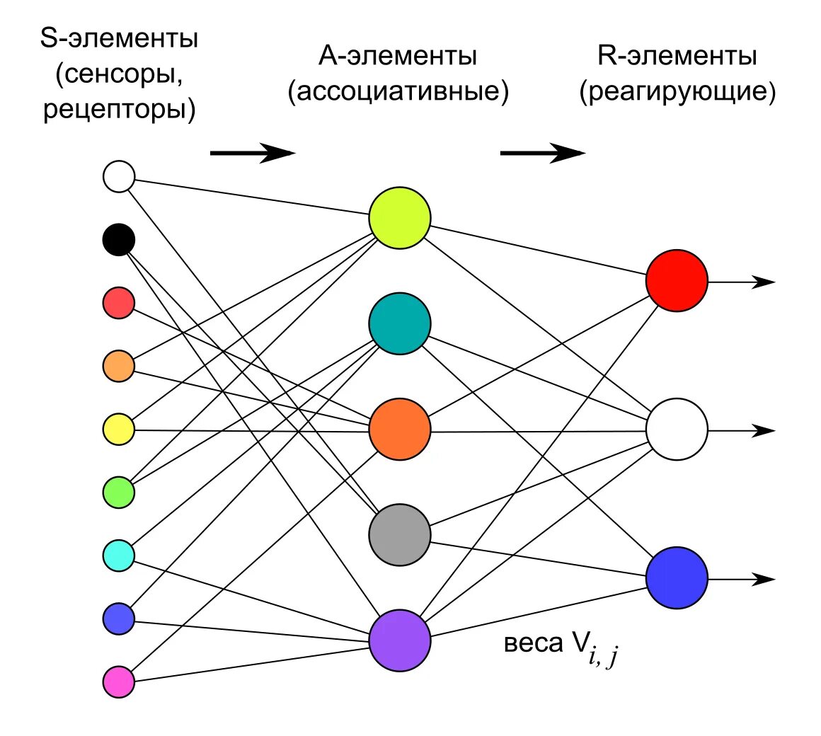 Число элементов в нейросети. Персептрон нейронные сети. Персептрон Розенблатта схема. Перцептрон искусственные нейронные сети. Многослойный персептрон Розенблатта.