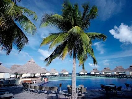 Ellaidhoo maldives by cinnamon