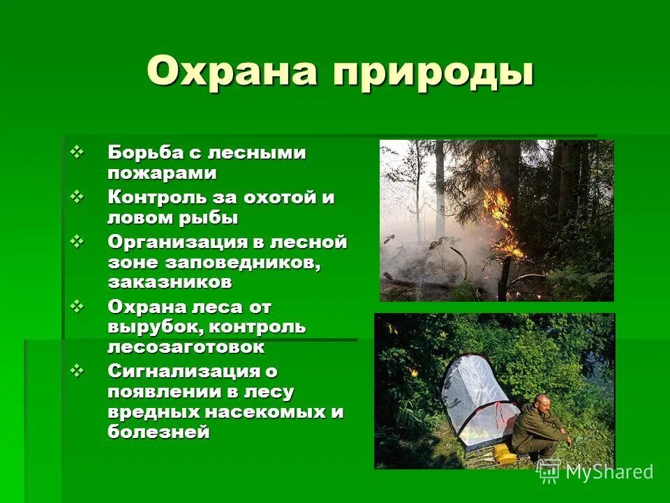 обоснуйте на примерах важность сохранения в природе. как помочь природе. обоснуйте на примерах важность сохранения в природе. значение пресмыкающихся в природе. мои предложения по защите природы.