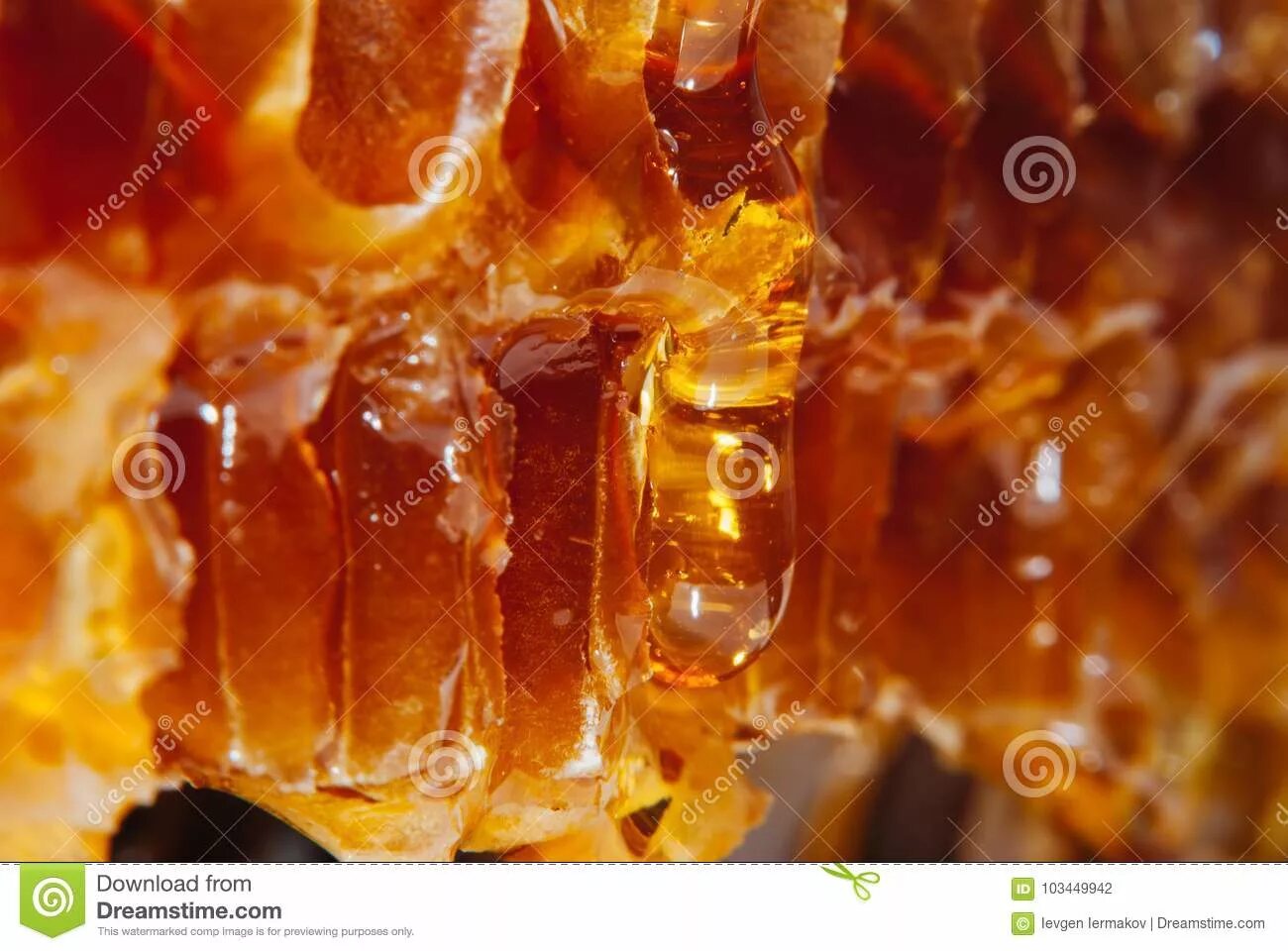 Янтарный мед в сотах. Мед на янтарную свадьбу. Янтарный мед фото. Янтарный мед 5 мл.