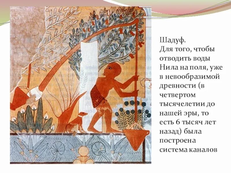 Что такое вельможа налог шадуф. Что такое вельможа налог шадуф