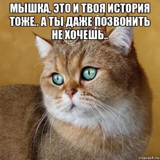 Тоже история