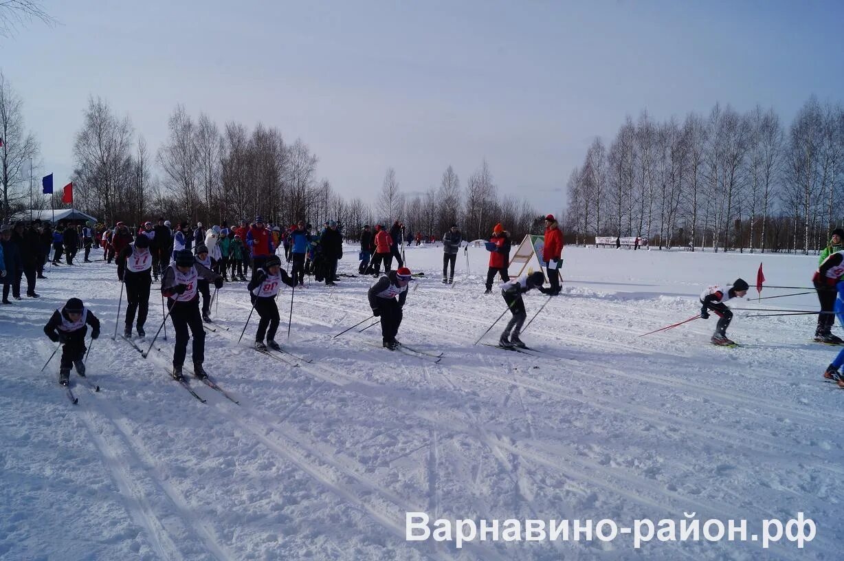 северный нижегородская область варнавинский район. деревня лопатино нижегородская область варнавинский район. поселок восход нижегородская область варнавинский район. посёлок северный нижегородская область варнавинский район. поселок северный варнавинский район школа.