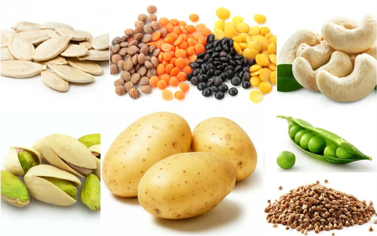 Растительные белки. Растительные продукты. Пищевые продукты растительного происхождения. Полезные продукты растительного происхождения.
