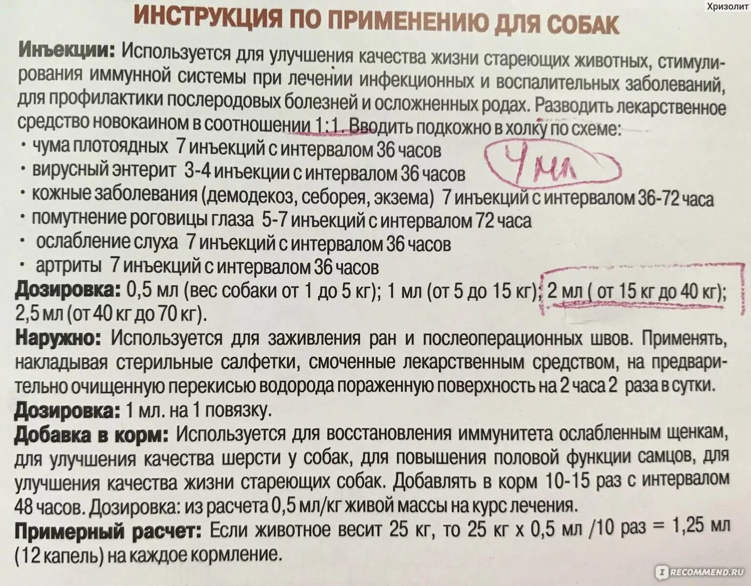 Дозирования лекарств в ветеринарии. Дозировки препаратов в ветеринарии. Дозировки ветеринарных препаратов. Расчет дозировки пиридоксина для собаки.