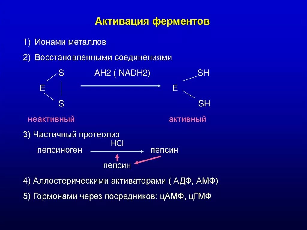 Неспецифические ферменты. Типы активации ферментов биохимия. Регуляция активности ферментов активация. Активаторы ферментов механизм активации. Механизм активации ионами металлов.