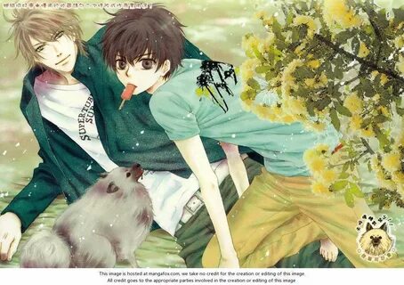 Super lovers