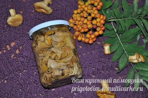 Свинухи маринованные на зиму с уксусом