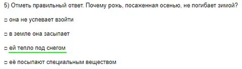 Почему рожь посажена осенью зимой не погибает