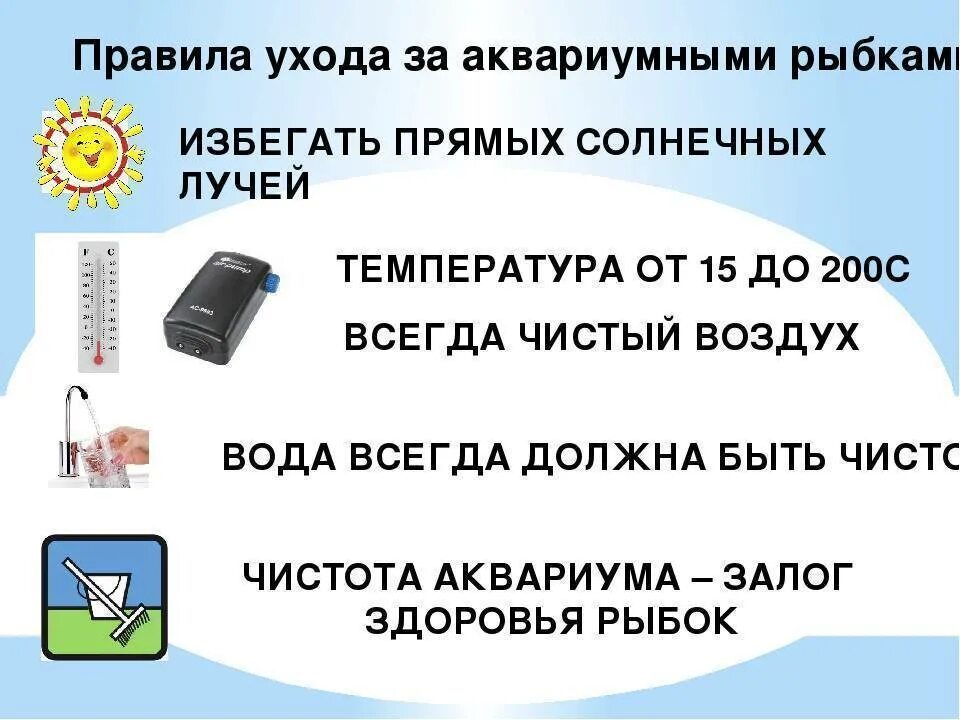 Как ухаживать за аквариумными. Уходу за аквариумом памятка. Памятка по уходу за аквариумными рыбками. Памятка по уходу за аквариумом для детей. Правила ухода за аквариумом для детей.