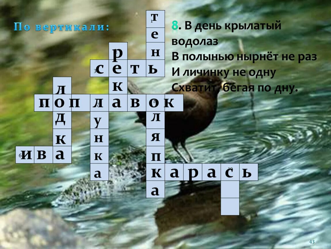 Составить кроссворд природное сообщество луг. Кроссворд на тему водоемы. Кроссворд по теме болото. Кроссворд по теме водоемы Архангельской области. Кроссворд на тему болота.