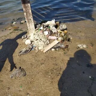Ужасно грязный