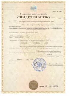 Разрешение 19