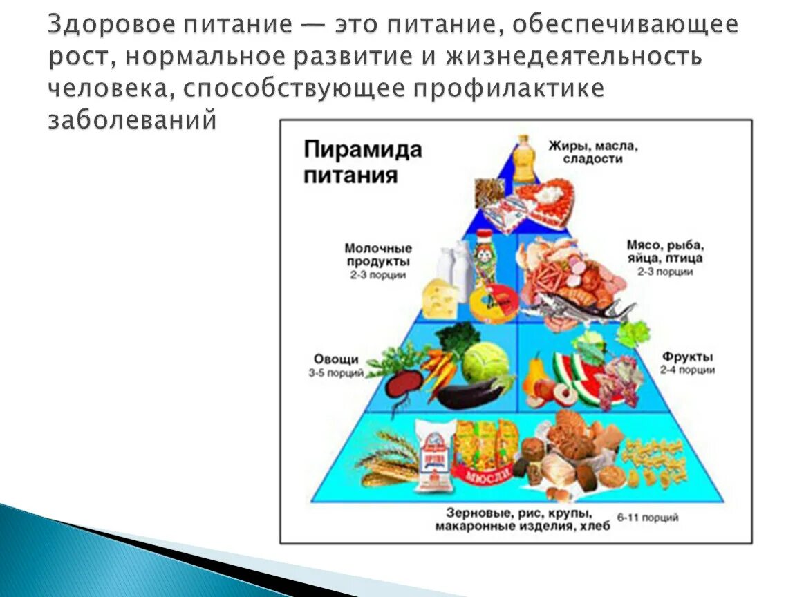 Питание обеспечивает рост. Питание и жизнедеятельность человека. Здоровое питание это питание обеспечивающее рост. Здоровое питание студентов. Правильное питание студента.