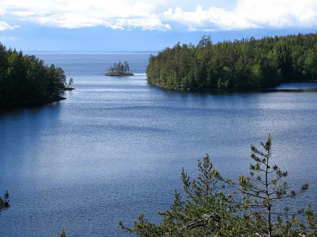 Онежское озеро вытекает. Озера Ладога и Онега. Ладожское озеро и Онежское озеро. Реки Онежского озера. Волга Онежское озеро.