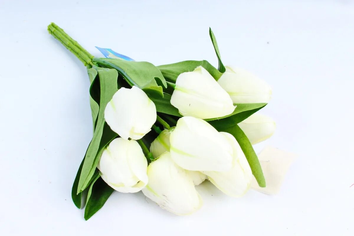 Тюльпаны казань. С 8 марта белые тюльпаны. Тюльпан белуга. Белые тюльпаны. Покажи белые тюльпаны.