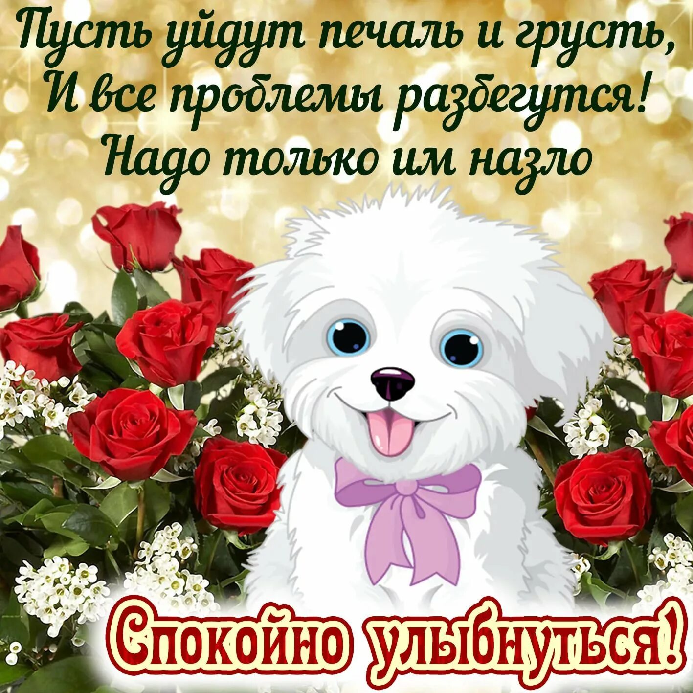Картинки хорошего рабочего дня и отличного настроения. Веселые открытки. Не грусти хорошего настроения. Хорошего настроения. Веселые картинки для настроения.