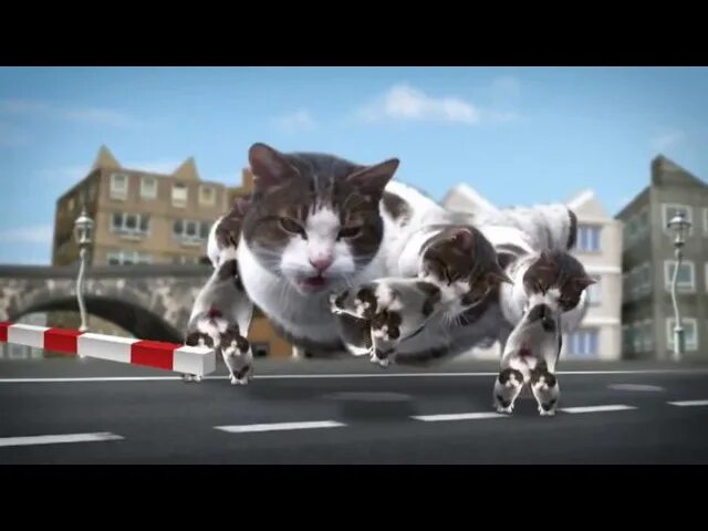 Cyriak кити сити. Welcome to kitty. Cyriak welcome to kitty city. Кот welcome to kitty city. Клип kitty city.