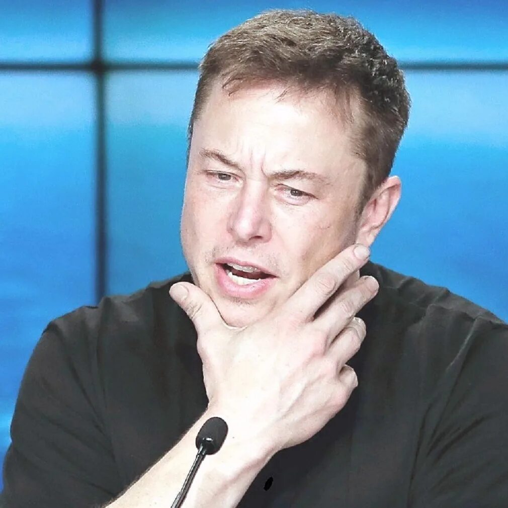 Илон маск. Комбо илон маск 24 августа. Илон маск. 1 коин илон маск. Комбо илон маск 24 августа.