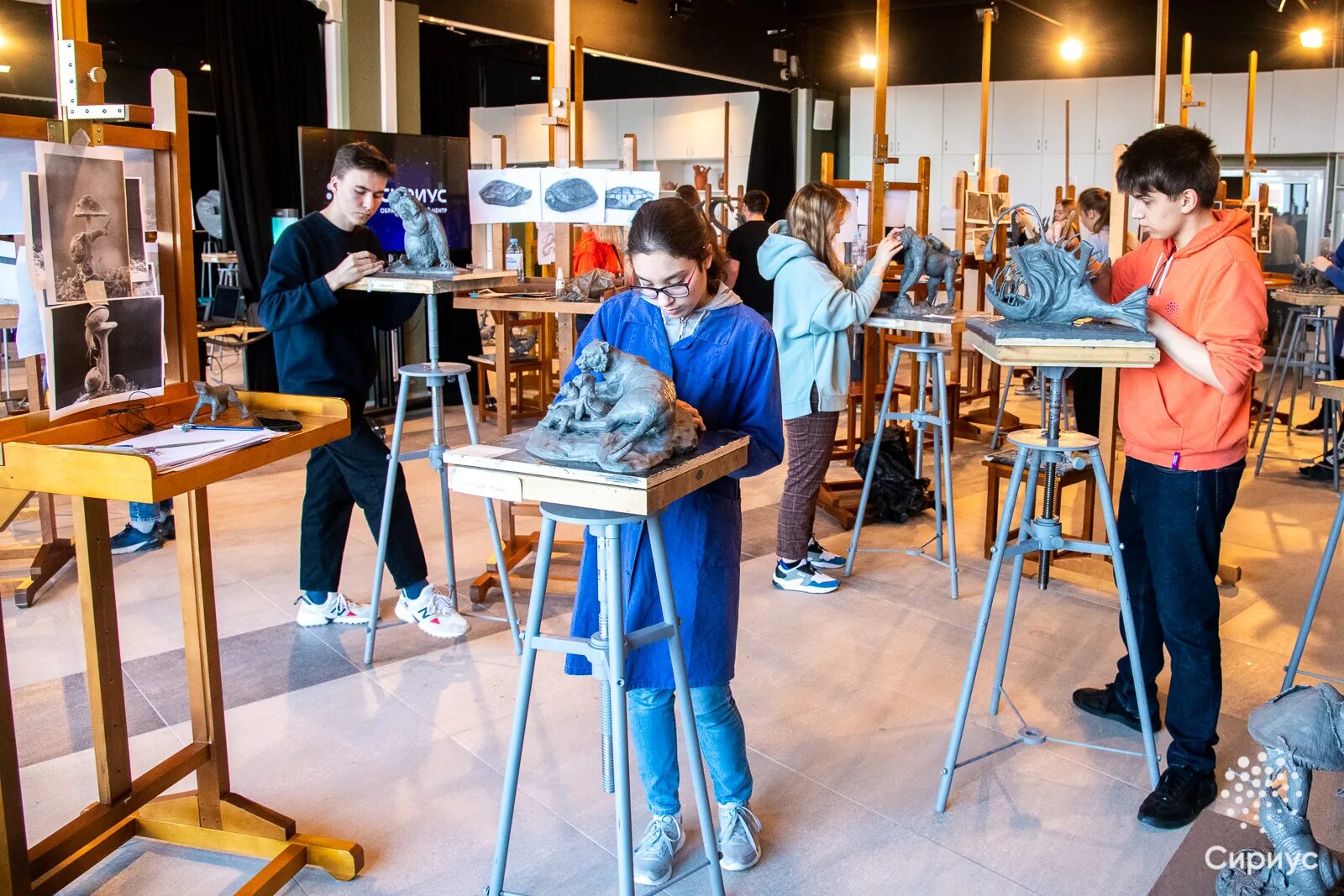 Сириус для детей художник. Сириус анималистическая скульптура дарья хачикова. Сириус сочи художники. Сириус программы искусство. Сириус сочи художники.