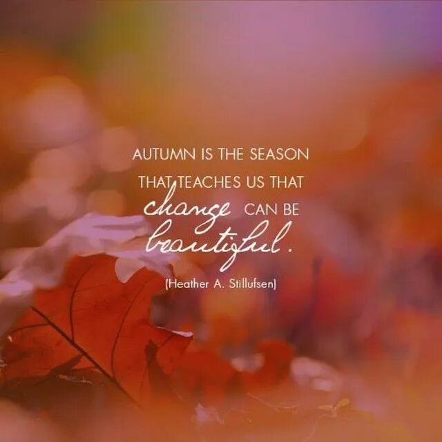 In autumn it is often. Фразы про осень короткие и красивые. Умные высказывания про осень. Осень перемен. Осень время перемен цитаты.