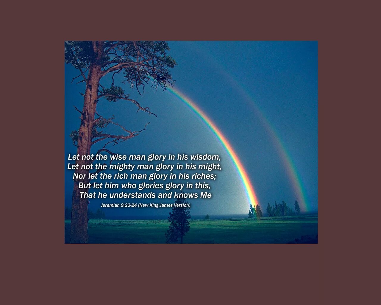 Иеремия 29. Иеремия 29 11. иеремия 11.11 стихи. иеремия 11 11. jeremiah 29:11.