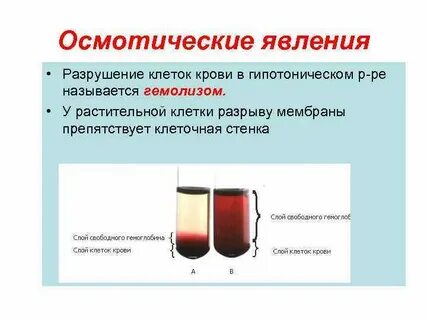 Гемолиз какой раствор