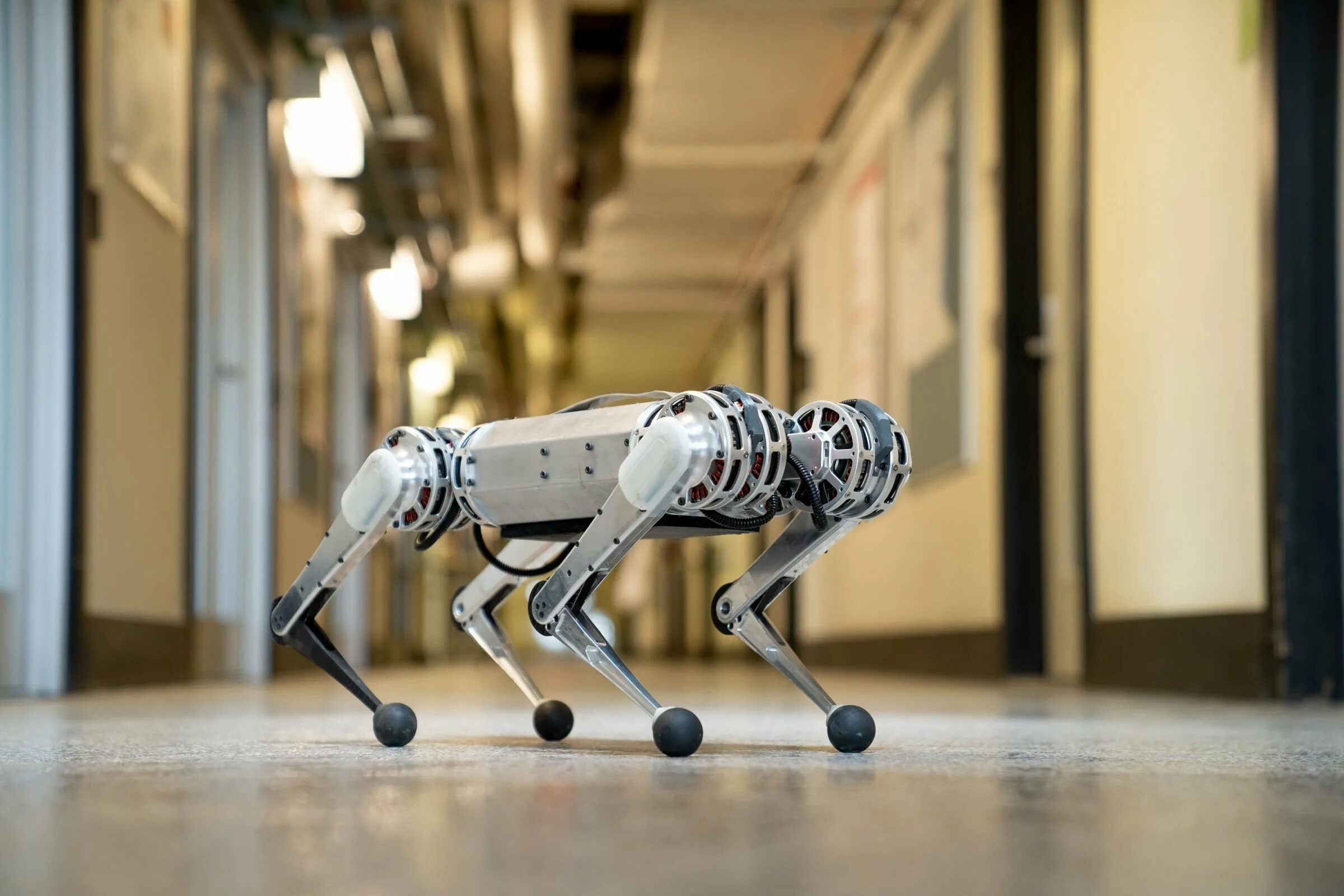 Robot jole gaspr