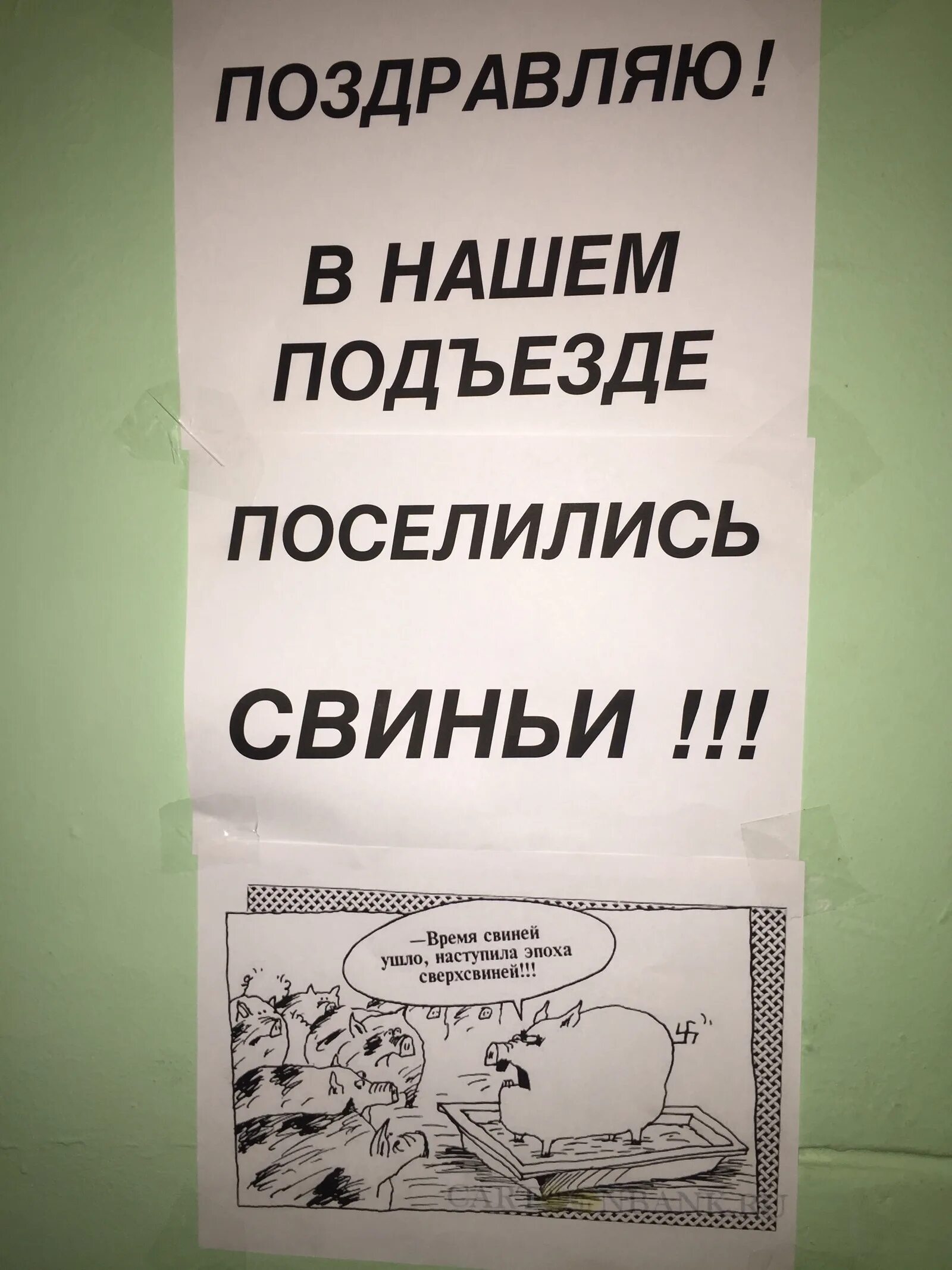 Кто живет в подъезде. Объявление для соседей свиней. Объявление соседи мусорят в подъезде. Объявление соседям о мусоре.