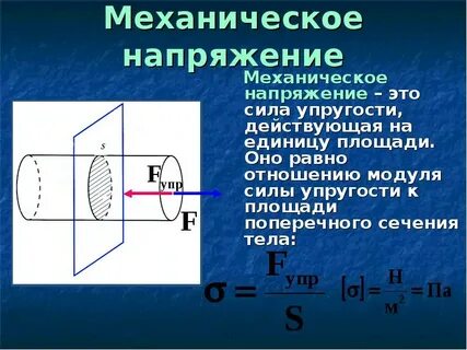 Модуль силы упругости равен