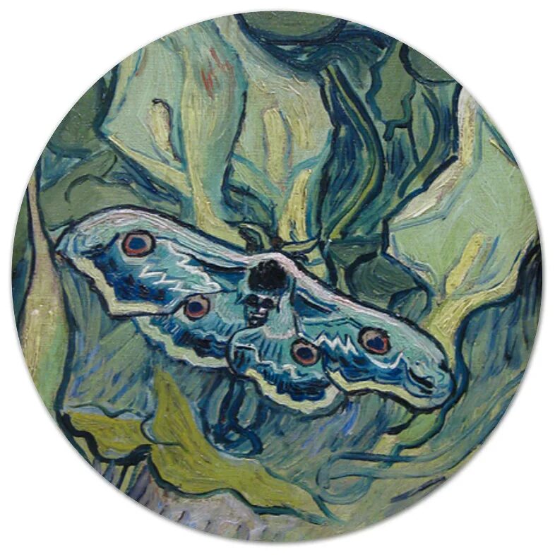 ван гог картина бражник. винсент ван гог бабочки. бабочка павлиний глаз ван гог. бражник мёртвая голова ван гог. брошь бабочка мертвая голова.