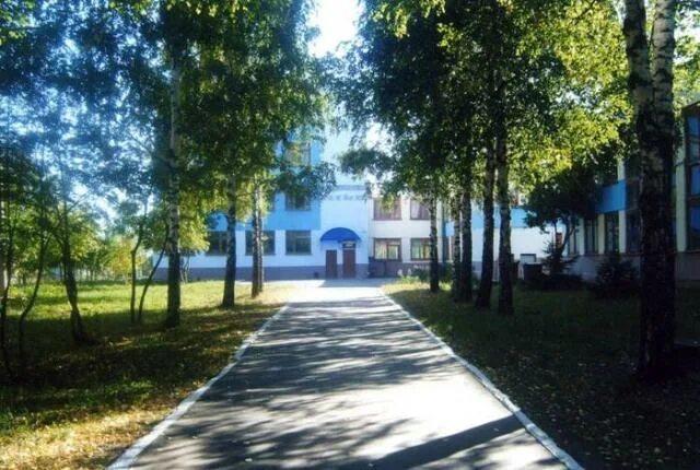 Сфер услуг и промышленных технологий саранск. Саранский техникум сферы услуг и технологий. Стсуипт саранск. Техникум сферы услуг саранск. Саранский колледж сферы услуг.