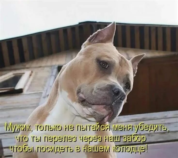 Почему его все нет