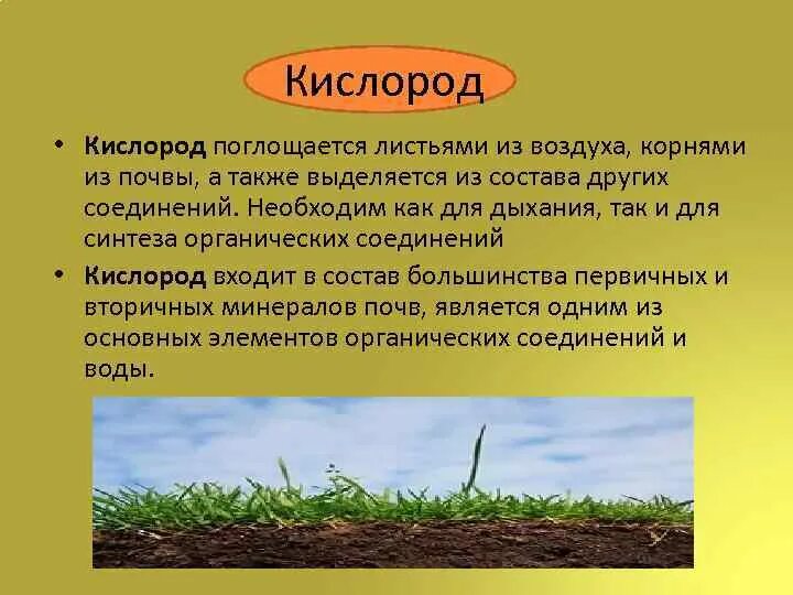 Микроэлементы в почве. Кислород в почве. Кислородный грунт для растений. Воздух содержащийся в почве необходим корням для.