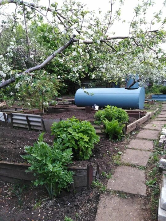 Фото дачи снт наука ул. Снт наука волгоград. Снт наука волгоград. Снт наука волгоград. Снт наука волгоград.