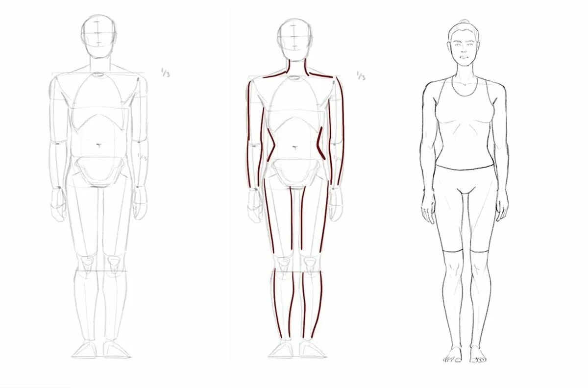 Тела карандашом поэтапно. Поэтапное рисование человека. Тело рисунок. Фигура человека. Человек рисунок.