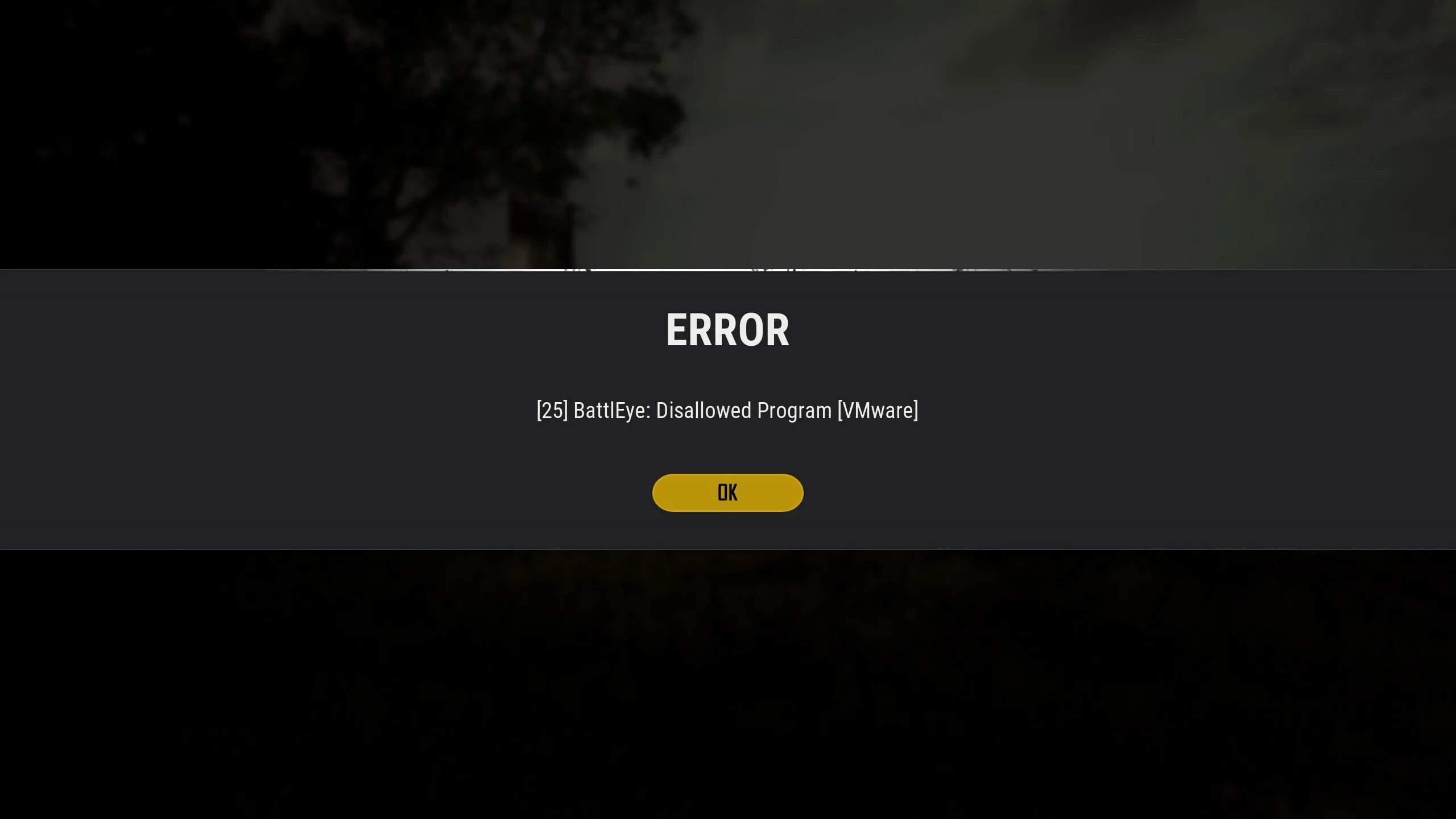 Battleye service is not running properly. Ошибка PUBG. Ошибка BATTLEYE DAYZ. BATTLEYE service. BATTLEYE Launcher.