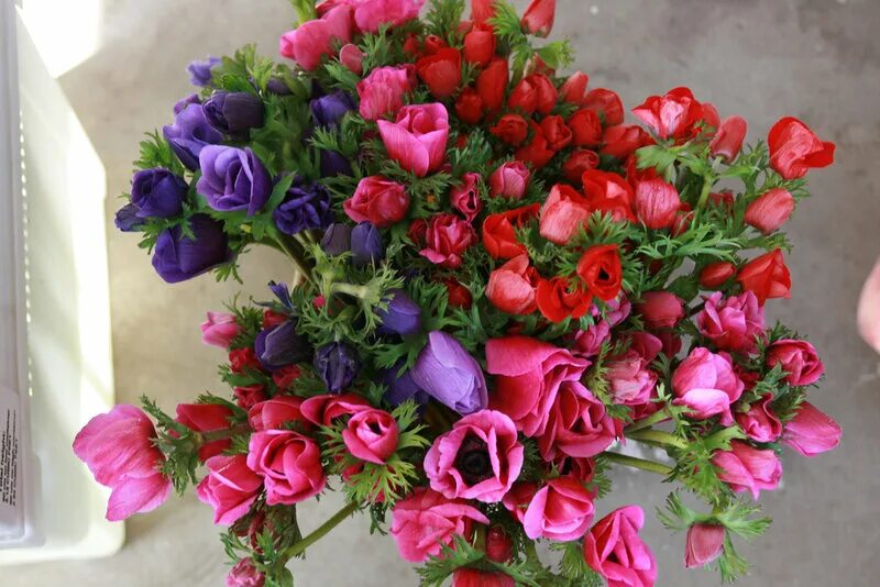 Букет для татьяны с днем рождения. Красивые цветы для тани. Танечке картинки красивые. Танечке картинки красивые. Поздравления с днем рождения танюшке.