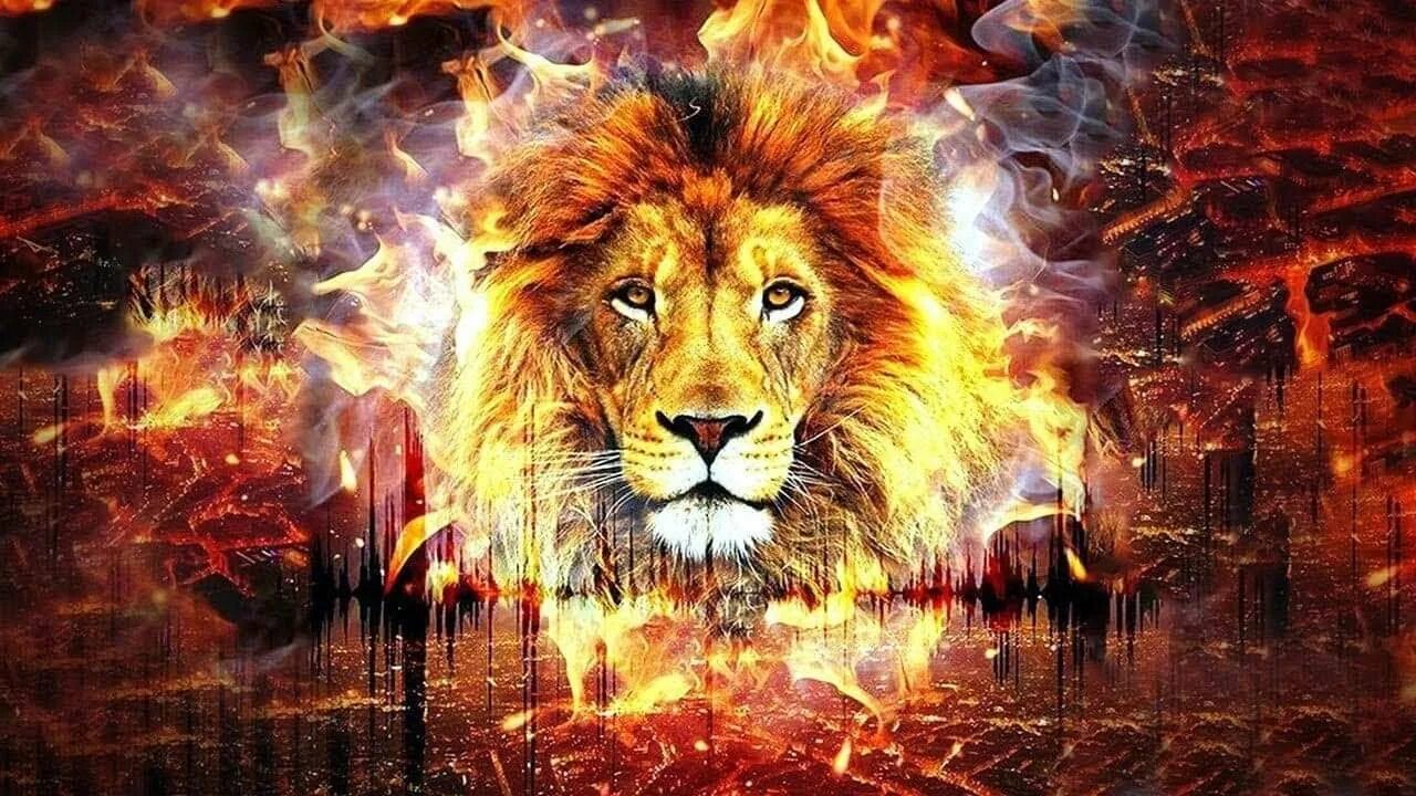 Лев. Алмазная мозаика огненный лев. Лев картинки. Лев крадется. Лев в пиджаке.