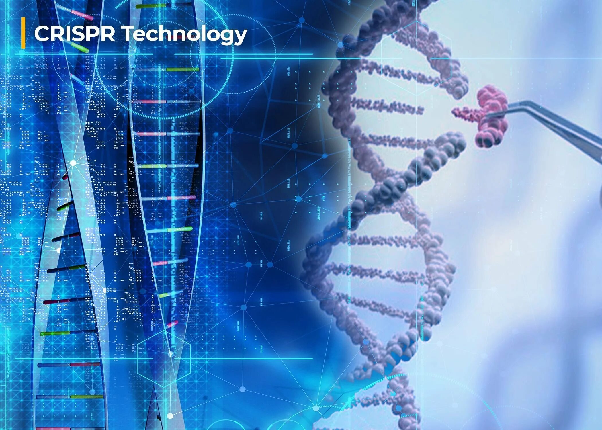Перспективы генетики. CRISPR cas9 технология. Редактирование генома с CRISPR/cas9. CRISPR Биоинженерия ДНК. ДНК технология.